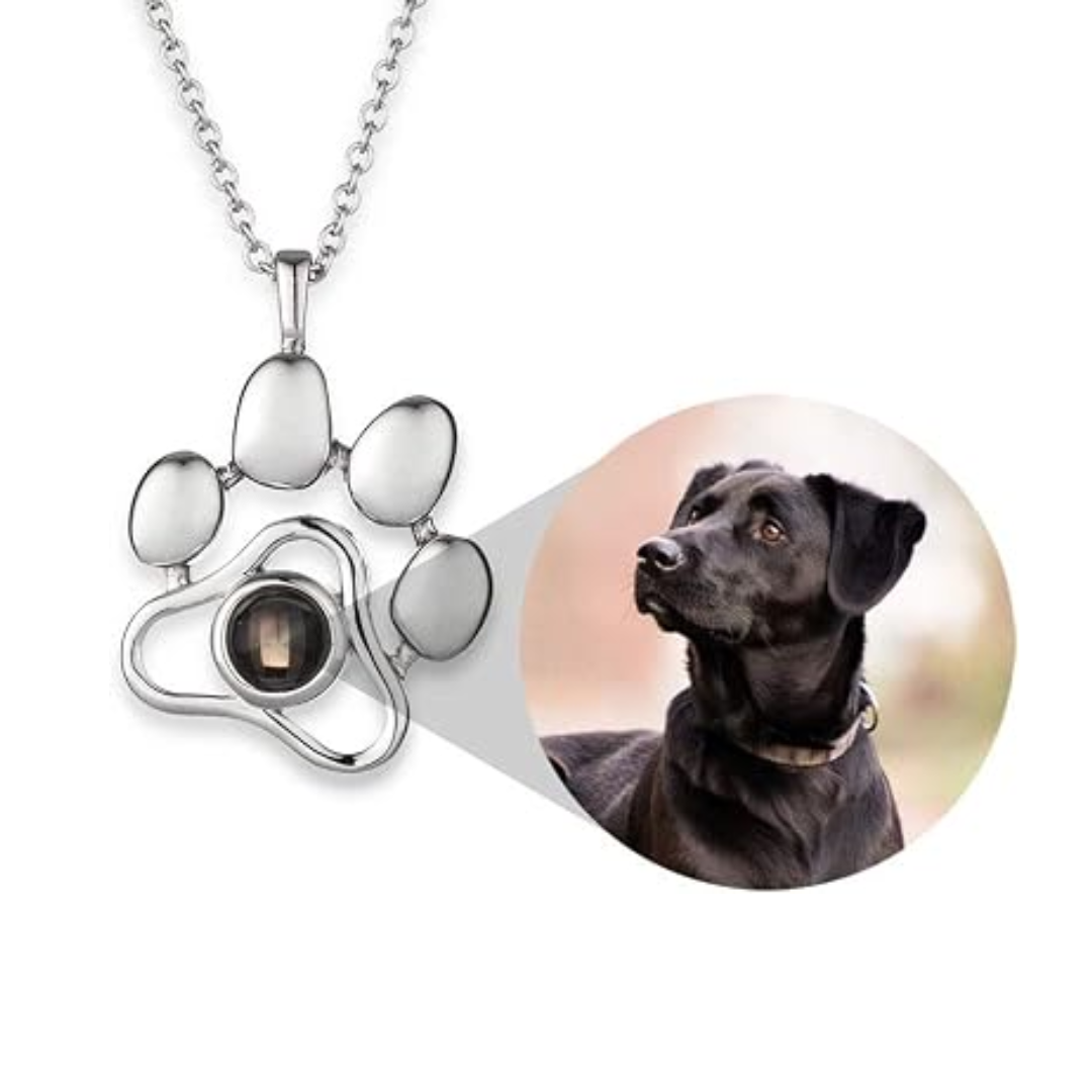 Collar Personalizado con Foto de Mascota