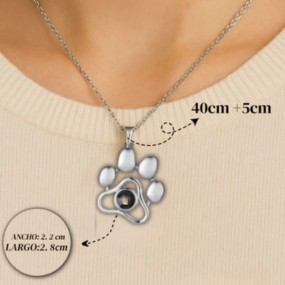 Collar Personalizado con Foto de Mascota