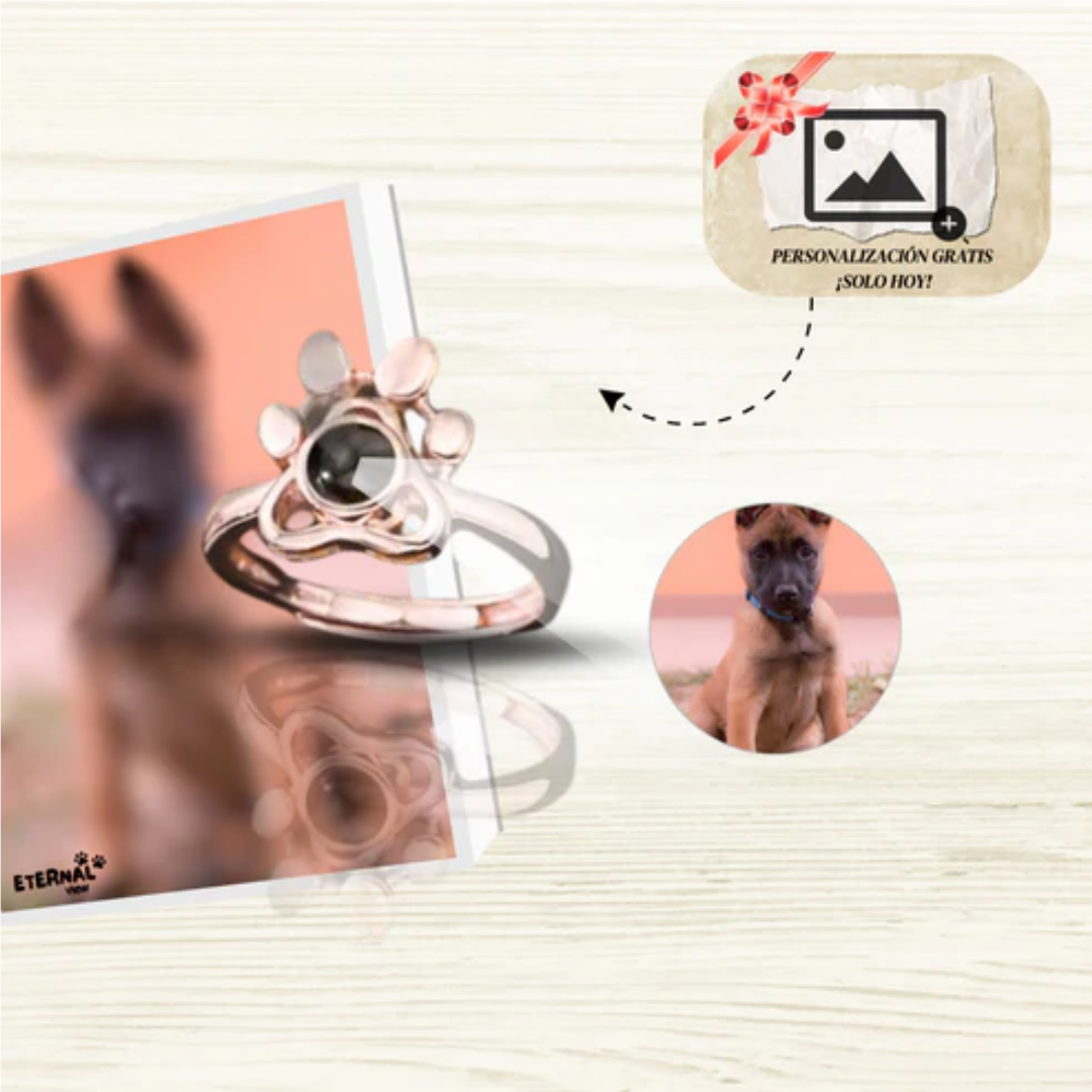 Collar Personalizado con Foto de Mascota