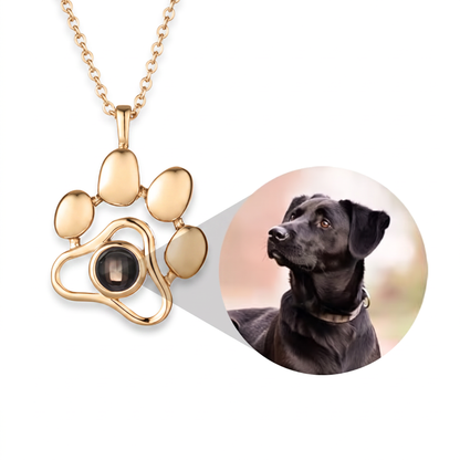 Collar Personalizado con Foto de Mascota
