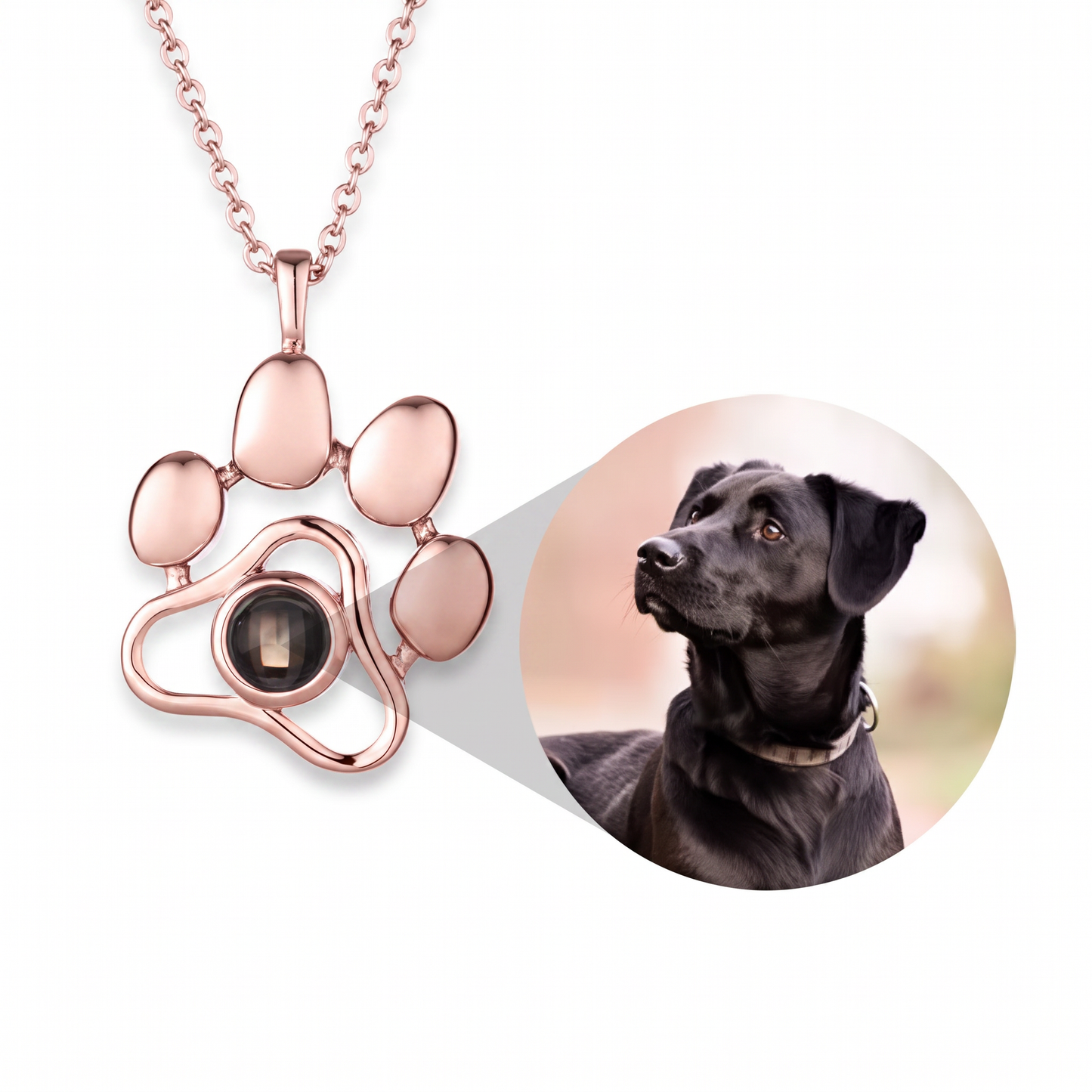 Collar Personalizado con Foto de Mascota