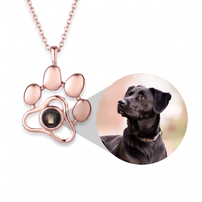 Collar Personalizado con Foto de Mascota